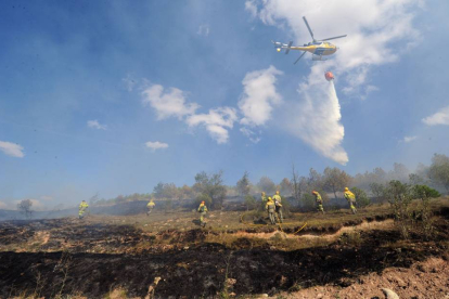 Los agentes forestales atajaron este fuego cerca del pinar de Cótar con la ayuda de bomberos.-ISRAEL L. MURILLO