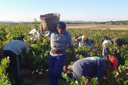 El fin de la vendimia hace que el sector agrícola incremente el desempleo en 688 personas.-RAÚL G. OCHOA