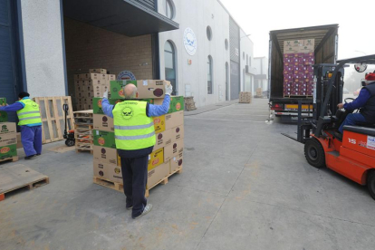 Varios voluntarios descargan cajas de productos.-ISRAEL L. MURILLO