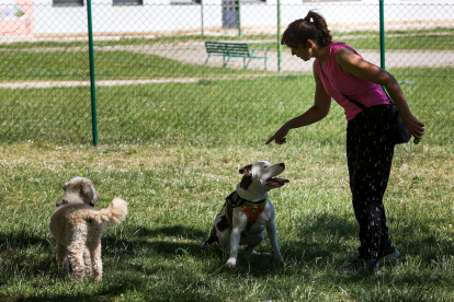 Perros y dueños disfrutan de las áreas de esparcimiento canino. TOMÁS ALONSO