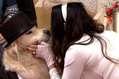 La exmodelo Elizabeth Hoad y su perro, Logan, durante su boda en directo en ’This Morning’.-YOUTUBE / THIS MORNING