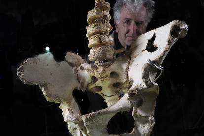 Arsuaga observa la pelvis Elvis recién instalada en el Museo de la Evolución