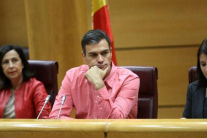 El líder del PSOE, Pedro Sánchez, este martes en el Senado.-JUAN MANUEL PRATS