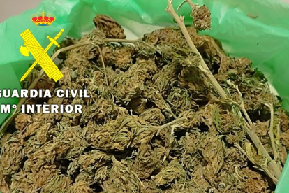 Marihuana incautada por la Guardia Civil. GUARDIA