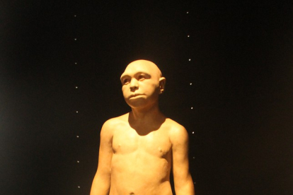 HOMO ANTECESSOR. 850.000 años. Gran Dolina. Reconstrucción de Homo antecessor en el Museo de la Evolución.