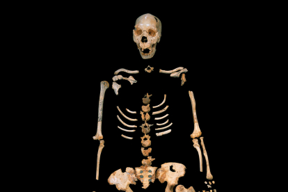 PRENEANDERTAL. 450.000 años. Sima de los Huesos. Encuentran hasta los restos más pequeños. Se completa casi un esqueleto casi completo de los preneandertales de la Sima. Se han extraído más de 7.000 fósiles entre los que se encuentran 20 cráneos. Javier Trueba - Madrid Scientific Films