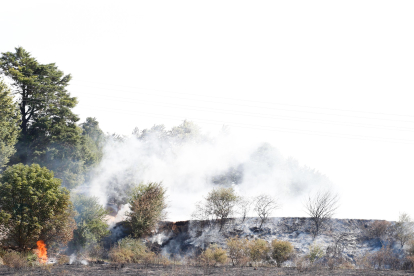 Imagen del incendio en el cerro del Castillo. SANTI OTERO