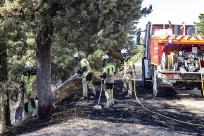 Los bomberos extinguieron un incendio en los campos de las laderas del cerro del Castillo hacia la carretera del Cementerio 