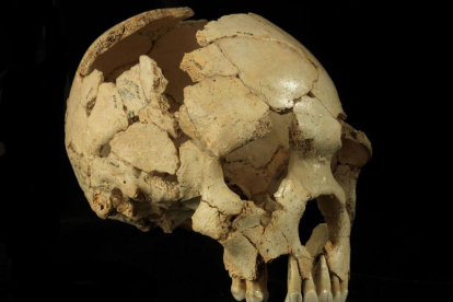 El Cráneo 6 de la Sima de los Huesos (Atapuerca, Burgos) ha sido uno de los fósiles estudiados en este trabajo.