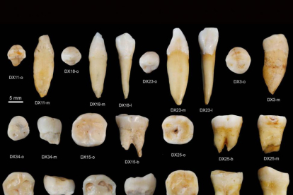 Colección de dientes chinos que han dado la sorpresa.-ECB