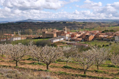 La floración de los cerezos del valle de Las Caderechas es ya visible desde las zonas bajas.-G. GONZÁLEZ