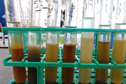 Procesado de muestras para la extracción de Residuos orgánicos de El Portalón. MARTA FRANCÉS (LEH)