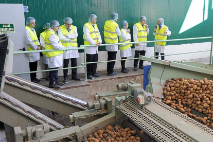 Las patatas llegan a la fábrica.-ISRAEL L. MURILLO