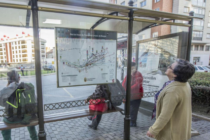 Una mujer consulta uno de los mapas de autobuses ubicado en una parada.-ISRAEL L. MURILLO