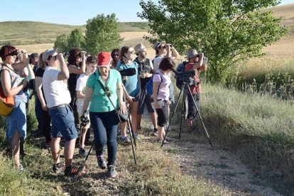 Participantes de las jornadas observando las aves a través de los prismáticos.-ECB