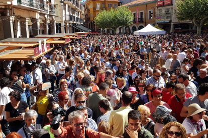 Ribera del Duero suspende la Fiesta de la Vendimia. L. V.