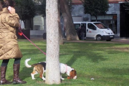 Una mujer pasea su perro por un jardín. ECB
