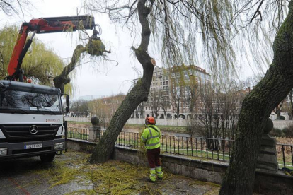 Un camión equipado con grúa recoge algunas de las ramas que se comenzaron a cortar a primera hora de la mañana.-ISRAEL L. MURILLO