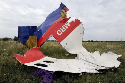Restos del avión de Malaysia Airlines-/ AFP / DOMINIQUE FAGET