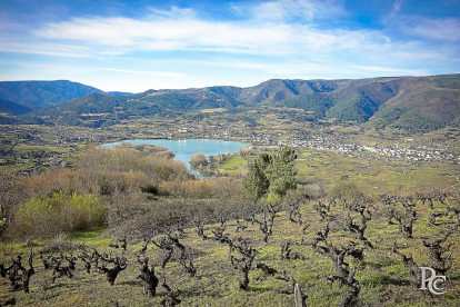 Panorámica de la zona de la DOP Valdeorras donde la familia Rodero Villa tiene el viñedo.-PAGO DE LOS CAPELLANES