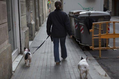 Un hombre pasea a dos perros por la calle.