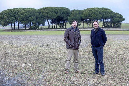 Laureano y Miguel García Rico, agricultores de Bercero (Valladolid ) en su explotación.-PABLO REQUEJO