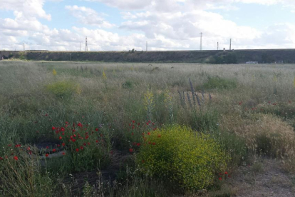 El sector cuestionado se encuentra entre la N-1 y la A-1, antes de la salida Sur de Aranda.-L. V.