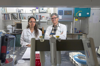 Los investigadores Celia Escudero y Eduardo Arranz en las instalaciones de la Facultad de Medicina de Valladolid-MIGUEL ÁNGEL SANTOS
