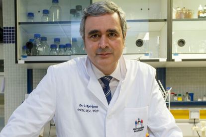 David Rodríguez es el director del Centro de Patógenos Emergentes de la Universidad de Burgos. TOMÁS ALONSO