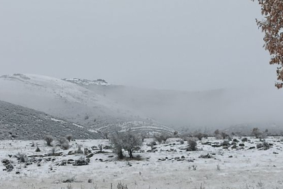 Campos nevados, ayer en Palacios de la Sierra. ESTIBALIZ LLORENTE