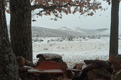 Campos nevados, ayer en Palacios de la Sierra. ESTIBALIZ LLORENTE