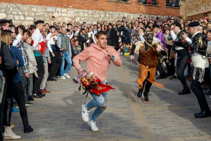 Rubén Álvarez, de Aranda de Duero, fue el único mozo que logró llevarse el gallo de Mecerreyes en dos ocasiones.  SANTI OTERO