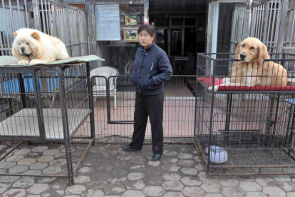 Unos perros esperan un dueño en un mercado de mascotas de una ciudad china.-EFE / WEITAO TIAN