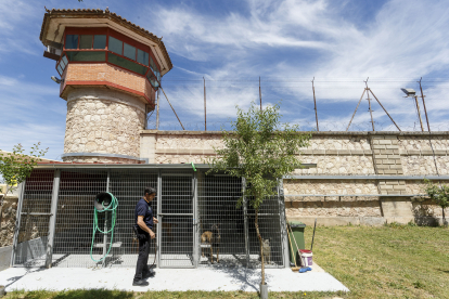 Los perros en sus jaulas y lugar de entrenamiento. SANTI OTERO
