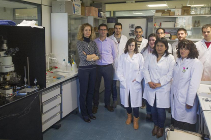 El grupo de investigación de Análisis Instrumental de la Universidad de Burgos posa en uno de los laboratorios de la Facultad de Ciencias.-ISRAEL L. MURILLO