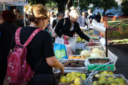Una mujer compra frutas y verduras en una feria comunitaria para combatir la inflación.-EFE