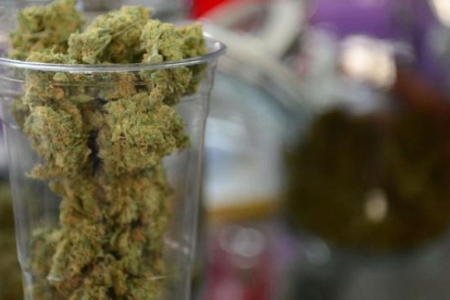 De Jong, ganó más de 40 millones de euros mediante el tráfico de cannabis a España, Italia e Inglaterra.-FREDERIC J BROWN