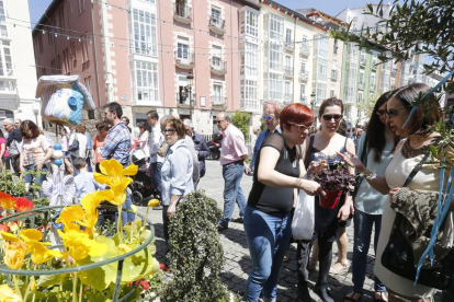 La Fiesta de las Flores celebrada el pasado año tuvo como gran aliado el buen tiempo.-RAÚL OCHOA