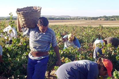 Las treinta bodegas que a día de hoy elaboran Albillo lo hacen fuera de la DO-E. M.
