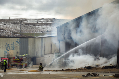 Incendio en un almacén en Molifibra, TOMÁS ALONSO
