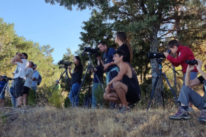 Participantes en una actividad de observación de buitres celebrada el viernes en Huerta de Arriba. GREFA