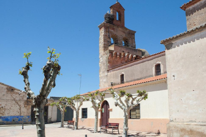 Iglesia de Torres del Carrizal.-ICAL