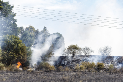 Los equipos de extinción se han centrado en evitar que las llamas llegaran a la zona de arbolado y los Bomberos de Burgos lo han dado por controladO. FOTOS: © ECB / SANTI OTERO