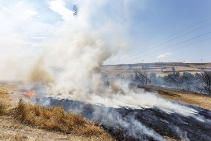 Los equipos de extinción se han centrado en evitar que las llamas llegaran a la zona de arbolado y los Bomberos de Burgos lo han dado por controladO. FOTOS: © ECB / SANTI OTERO