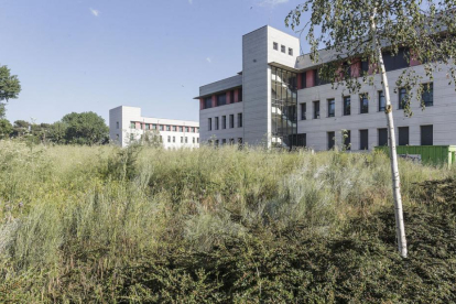 Este suelo está ubicado entre la Biblioteca de la UBU y el parque del Parral.-SANTI OTERO