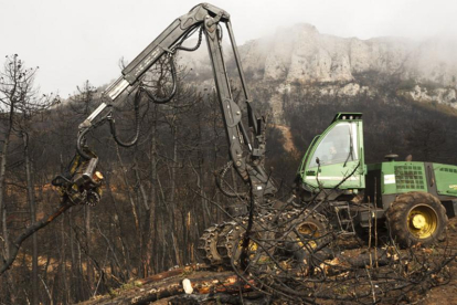Las máquinas trabajan sobre una superficie de más de 200 hectáreas afectadas por las llamas.-ECB