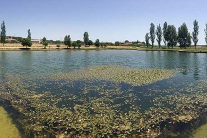 La laguna de ‘Las Brujas’ es conocida por estar envuelta en misteriosas leyendas.-ISRAEL L. MURILLO