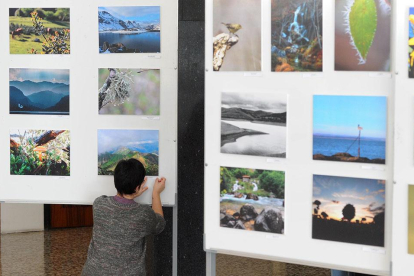 Alrededor de setenta imágenes conforman la exposición.-ISRAEL L. MURILLO