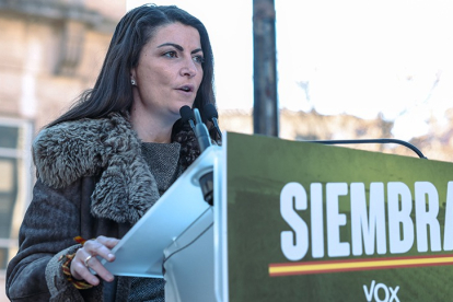 <p> Macarena Olona, durante un acto electoral de VOX en Castilla y León.- ICAL </p>
