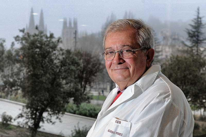 Alfredo Pérez-González director del Cenieh.-ISRAEL L. MURILLO